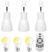 Amazon.co.jp: SenMeiGuang RGB 30W LED投光器 リモコン操作（メモリ